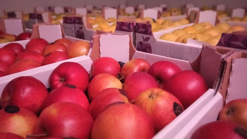 Negocio Gastronomic - Especialistas En Alimentación