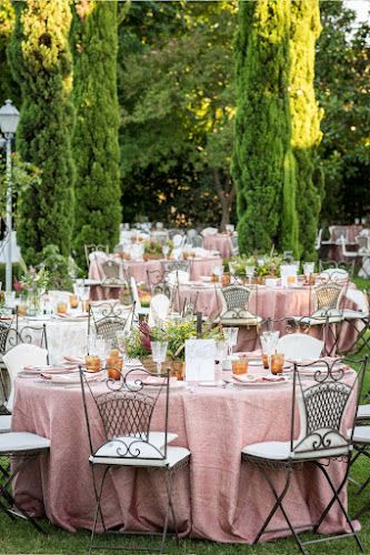 Negocio Grupo La Blonda