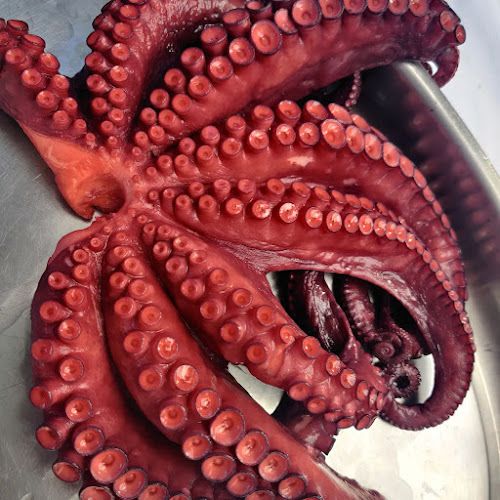 Negocio O Pulpeiro - Valladolid